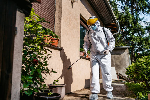 Professional Pest Control in Leesport, PA