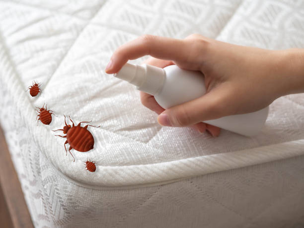 Best Pest Inspection Near Me  in Leesport, PA